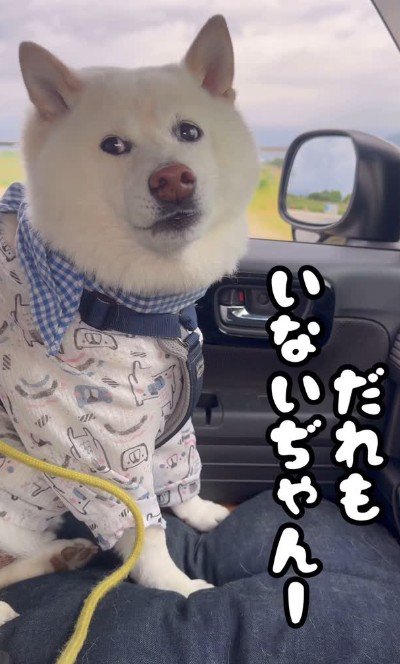 「誰もいないじゃん…」