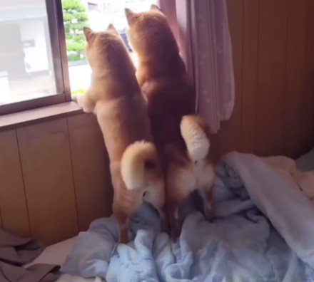 後ろ姿にもキュン♡