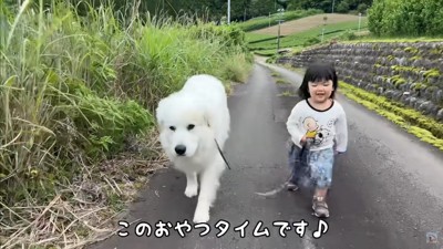 道中のおやつも欠かせない♪