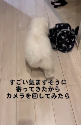 投稿主さんをリビングに誘導