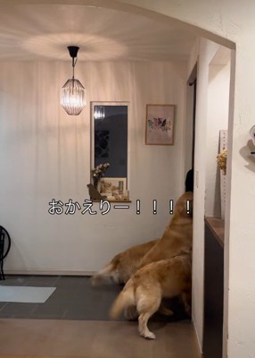 「お姉ちゃん帰ってきた！！」