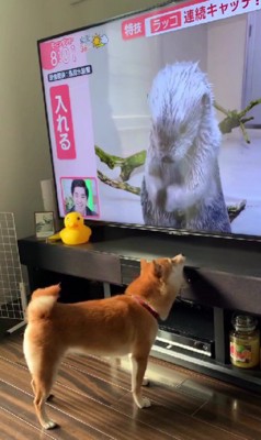 ちょっぴり恥ずかしい…