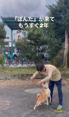 ぽんた君の変化3