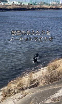 最高！