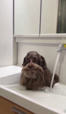 顔が…なんか…