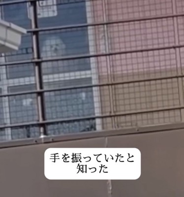 ガラス越しに小さく写る犬の姿