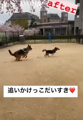 とっても楽しそう♪