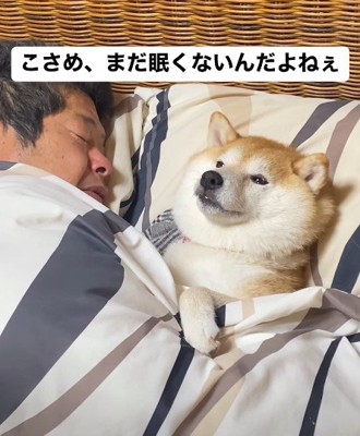 全然眠たくない!