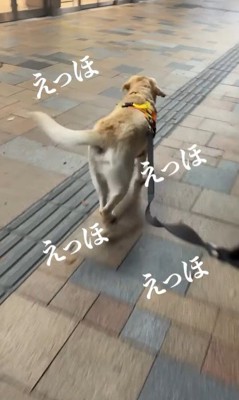 ママさんのお迎えに来たレオンくん5