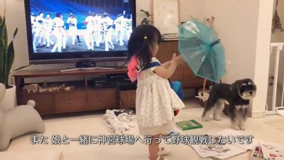 傘を持つ子どもと黒い犬