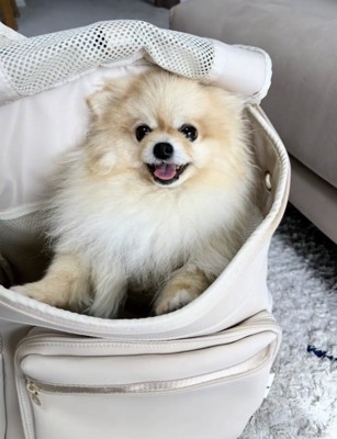 今ではこんなに笑顔