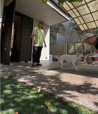 赤ちゃんに駆け寄る犬1