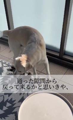 すぐに戻るかと思ったら…