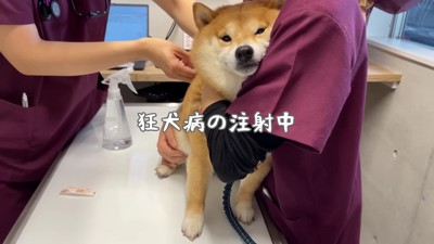 ワクチンはあっさりと完了