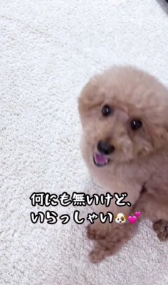 嬉しそうな顔にホッコリ♡