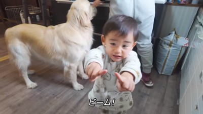 はしゃぐ息子さん