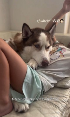 お姉ちゃんに甘えるウルくん2