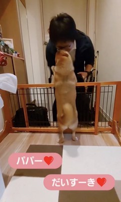 「おかえり」のチュー