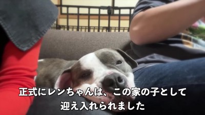 ずっとの家族が決定♡
