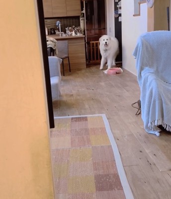 「なに??」