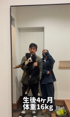 ダンボくんの成長7