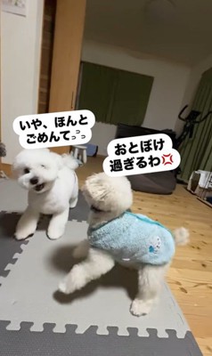 ぽん太くん＆るなちゃんのハプニング⑩