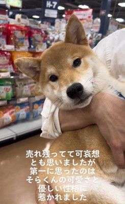 そらくんとの出会いとその後の様子2