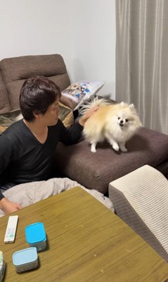 ボールを取ってもらいたいクララちゃん4