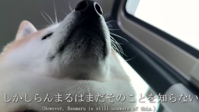 「早く着かないかなあ…」