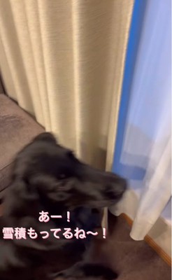 外は一面の雪景色！