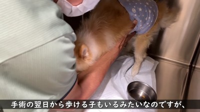 術後経過はいまいち…