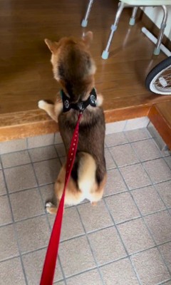 おばあちゃんと会えた瞬間