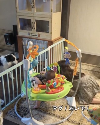 犬を呼ぶ女の子