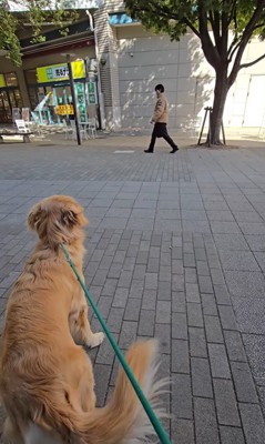 サンタくんがパパに気づくのか検証3