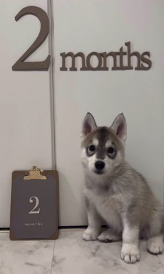 ムウくんの成長3