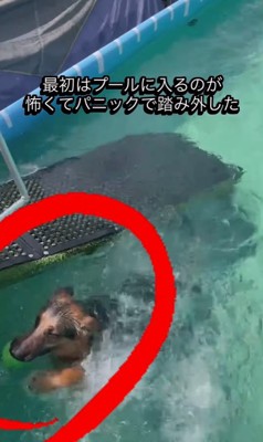 プールで特訓するエースくん2