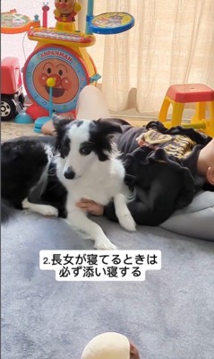 女の子とアグちゃんの日常3