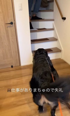 アンジュちゃんとお父さん5