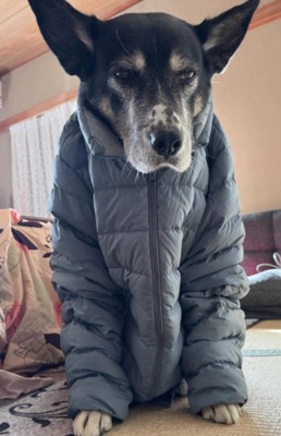 ダウンジャケットはかけるに限る!?