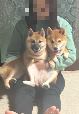 仲良し