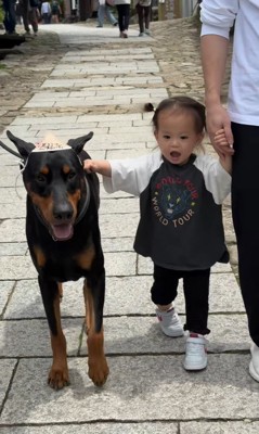 テンくんとニルくんと女の子の成長記録7