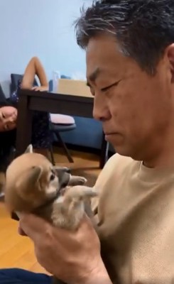 ソラちゃんを見つめるおじいちゃん