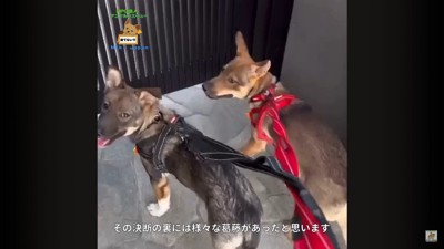 詩音くんと花音ちゃんが幸せを掴むまで9