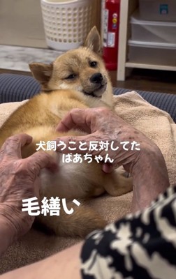 毛づくろいするおばあちゃん