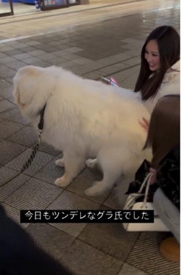 ツンデレっぷりが爆発!!