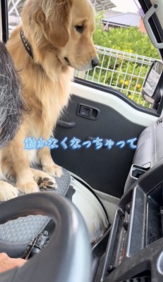 どこかを見つめる犬と作業する人