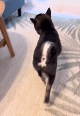 楽しそうなもずくくん