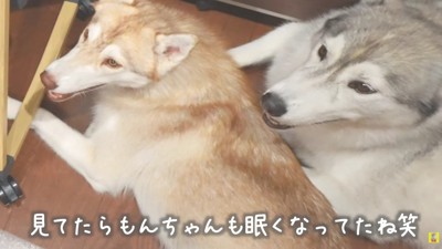 みんなで見守るよ