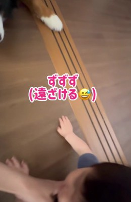 遠ざけてみると…