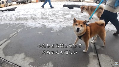 ルンルンでお家へ♪